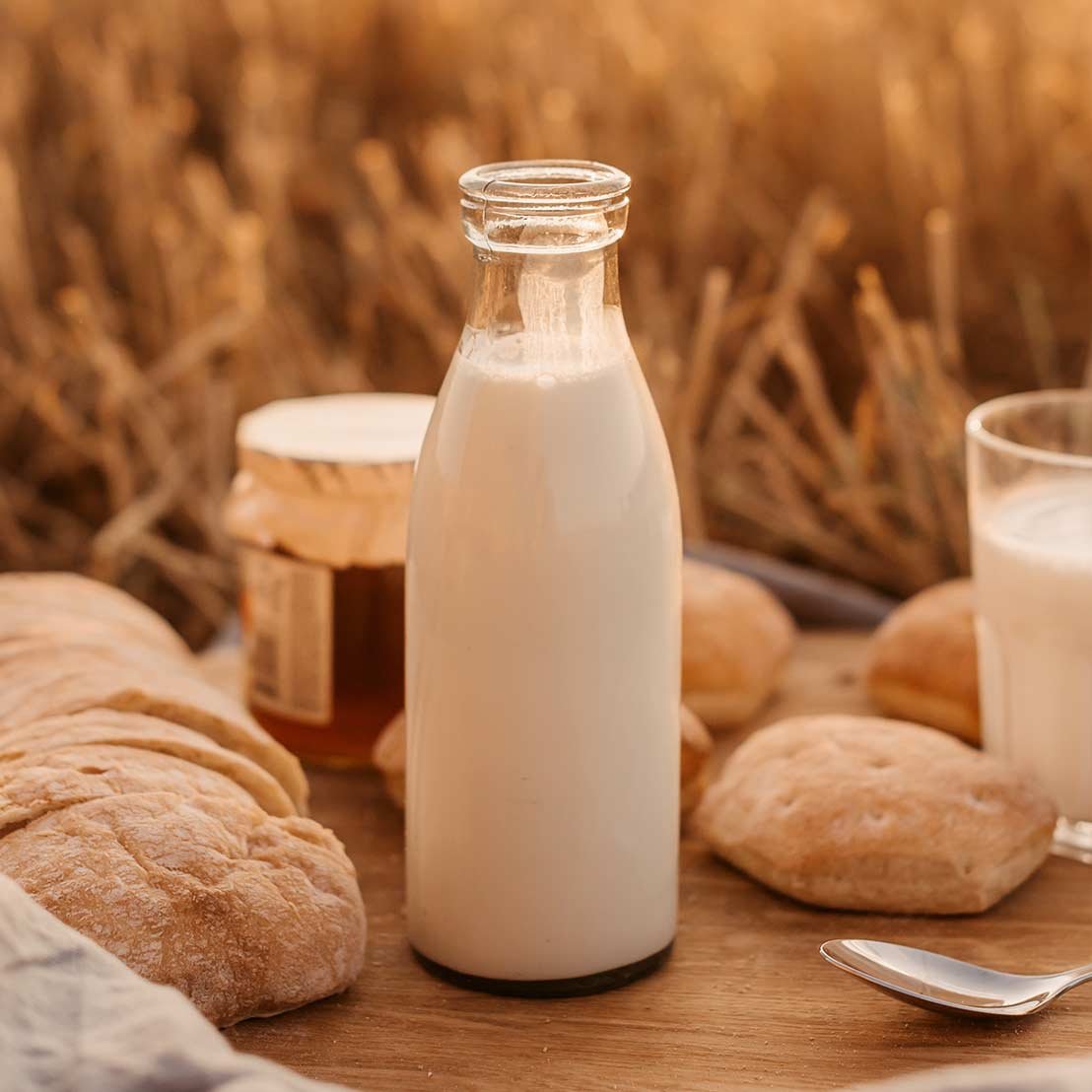 Milk Bottle Milk Bottle